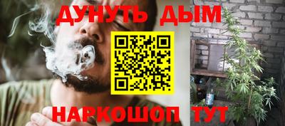 прущие грибы Краснознаменск